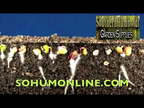 download lagu mp3 mp4 Southern Garden Supplies, download lagu Southern Garden Supplies gratis, unduh video klip Southern Garden Supplies