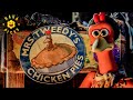 Mrs Tweedy S Homemade Chicken Pies Chicken Run