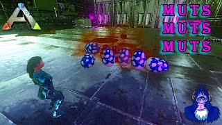 HOW TO GET COLOR AND STAT MUTATIONS | ARK MOBILE LIFE