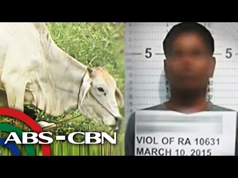 Kung ito ay posible na mawalan ng timbang antibiotics mula sa Kumuha alisan ng cellulite sa panloob na bahagi ng hita