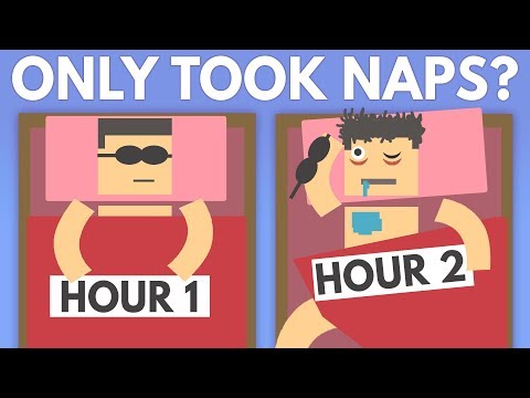 如果只小睡會怎麼樣？ (What If You Only Took Naps?)