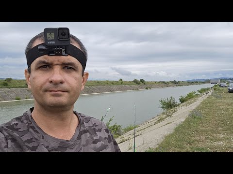 Pescuit la platica C&R pe canal la Racaciuni.