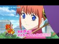 よりぬき銀魂さん ポロリ篇 の動画を配信しているサービスはある 視聴したい人におすすめの動画配信サービス 動画作品を探すならaukana