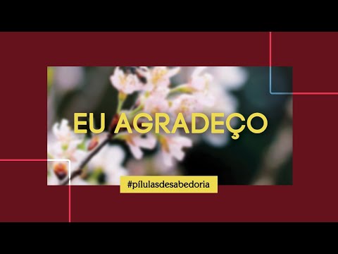 Eu Agradeço | Múscas para a Alma | Ian Mecler