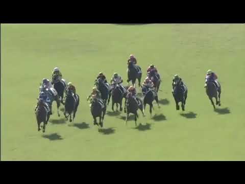 2018.10.21 2yo Newcomer (JPN) - World Premiere