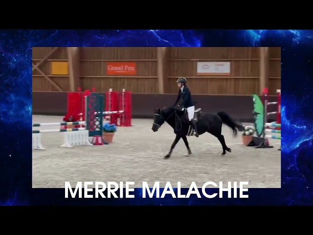 MERRIE MALACHIE  - New Forest 2019 ,  MERRIE MADHATTER