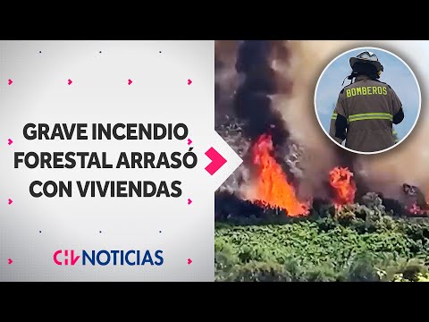 Grave INCENDIO FORESTAL DESTRUYÓ VIVIENDAS en la región de Coquimbo - CHV Noticias