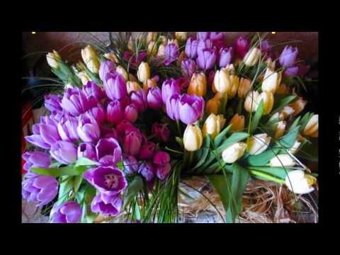 С днём рождения, Елена (Норильск)!!!