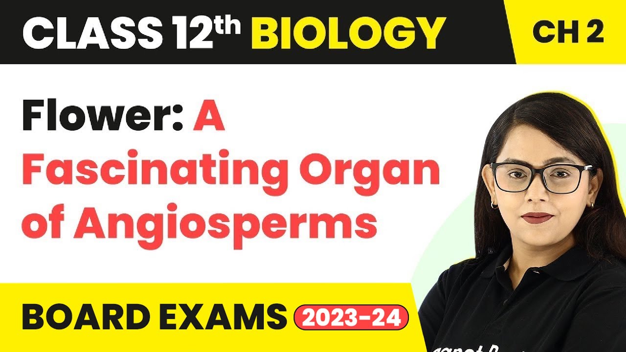 Class 12 Biology Chapter 2 | Flower: A Fascinating Organ of Angiosperms CBSE/NEET (2022-23)