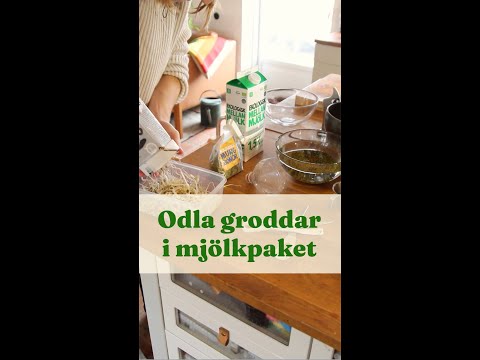 Odla groddar i mjölkförpackning - Trädgårdshacks med GardenR