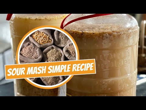 Sour Mash Recipe|Simple Sour Mash Reusing Fermented Grains