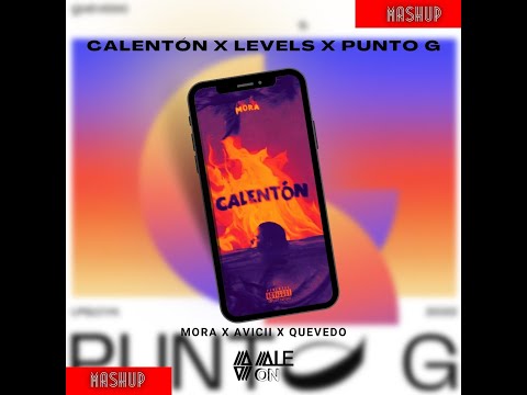 Mora, Avicii, Quevedo - Calentón X Levels X Punto G (AleOn Mashup)