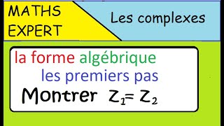 Vignette vidéo de l’exercice 5