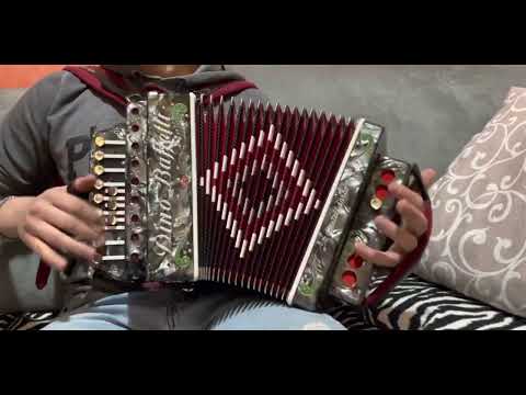 REGINELLA CAMPAGNOLA-(organetto abruzzese)