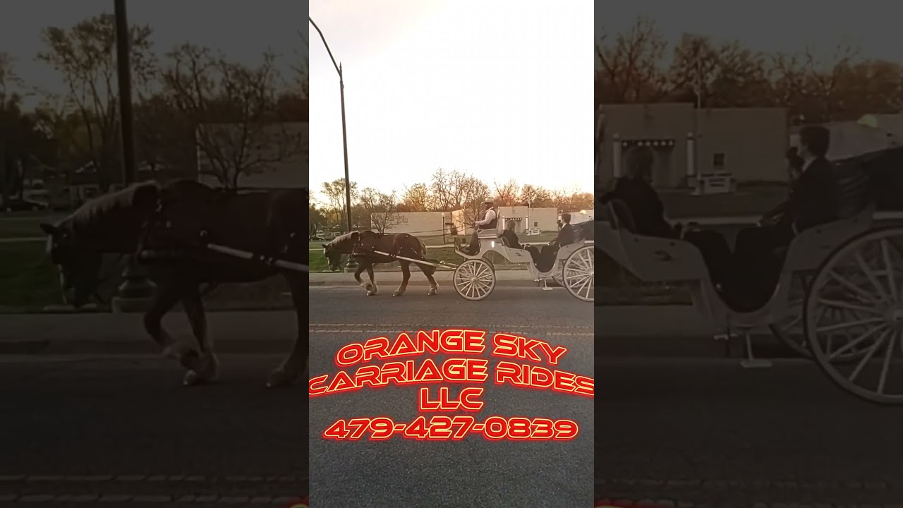 Promotional video thumbnail 1 for Orange Sky Carriage Rides LLC