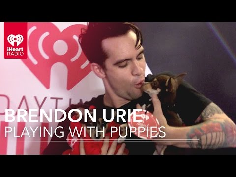 120 Seconds of Brendon Urie with Puppies
