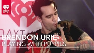 120 Seconds of Brendon Urie with Puppies