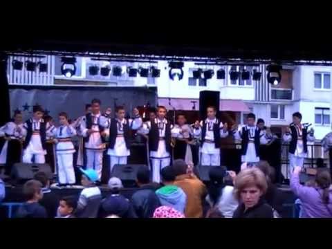 Ansamblul artistic"Flori Sangeorzene".