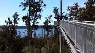 preview picture of video 'West Coast Treetop Walkway, Cantilever Lookout. Part 4.'