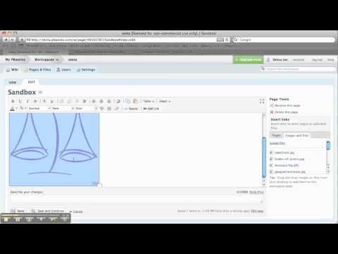 Adding Images and Videos to a PBWorks wiki