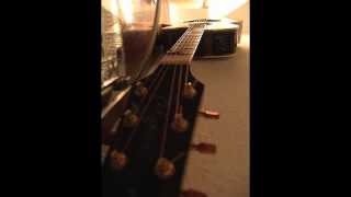 Matt Molloy, Paul Brady, and Tommy Peoples, Matt Peoples (Reels)