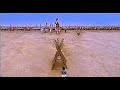 अर्जुन ने किया जयद्रथ का वध Arjun Kills Jayadratha Star 