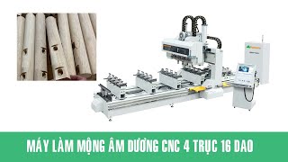 Máy làm mộng Âm Dương CNC 5 trục 16 dao WM-4x4A