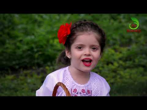 Vladelina Mutu (DO-RE-Micii Ungheni) - Am un Fratior micut