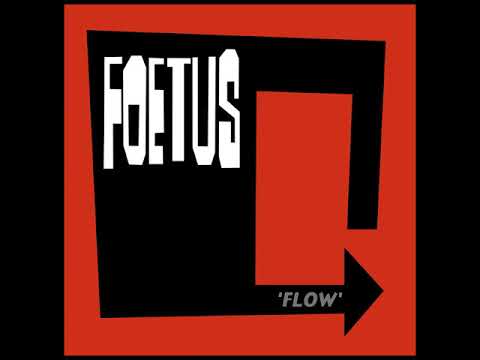 Foetus — Quick Fix