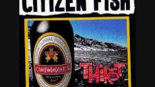 Citizen Fish - City On A River