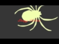 Sleepy Hollow Opening Credits