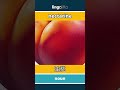 nectarine - 油桃 video thumbnail