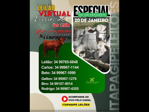 LEILÃO VIRTUAL  - ITAPAGIPE LEILÕES  20/01/2026- ITAPAGIPE-MG.