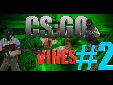 SILVERS BEFORE&AFTER [CS GO Vines #2]
