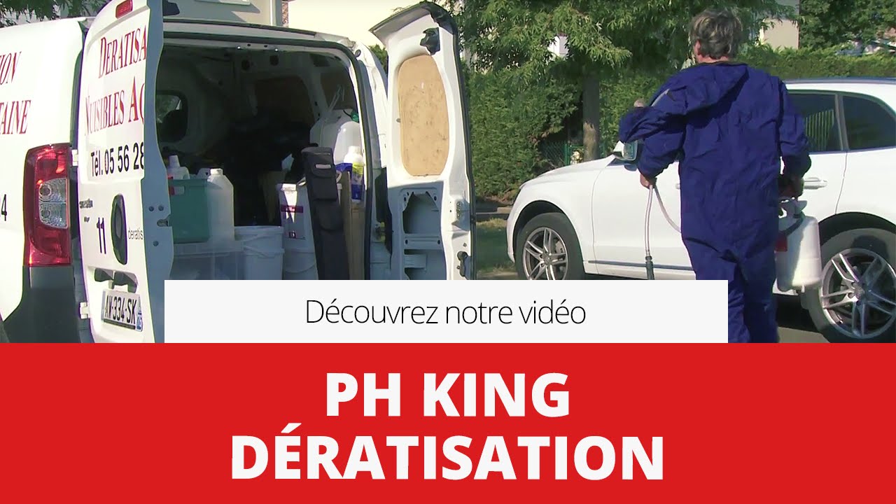 Dératisation Nuisibles Aquitaine - BORDEAUX, GIRONDE