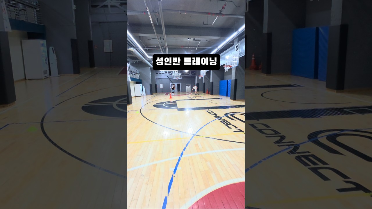 성인반 트레이닝..#농구 #성인농구 #성인농구레슨 #남자농구 #basketball #kbl #nba