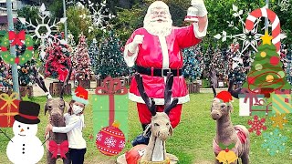 Circuito das Árvores de Natal - O Que Fazer em Campos do Jordão em 1 dia - Passeio infantil