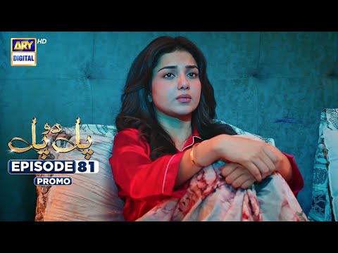 Pal Do Pal Episode 81 | Promo | Junaid Jamshaid Niazi | Tuba Anwer | ARY Digital