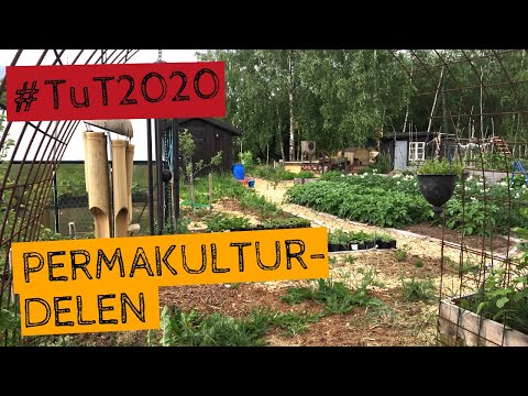 Permakulturdelen av min trädgård. Digital rundvandring - Tusen trädgårdar #TuT2020