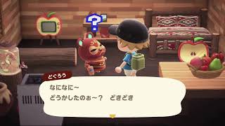 あつまれどうぶつの森のんびり配信７