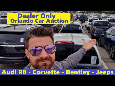Deals or Rip Off? A day at a dealer only Car Auction