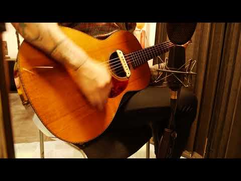 Rasmussen Parlor - Cedar top - Hi gloss natural image 15