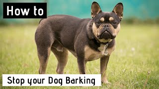 How to Stop your Dog Barking