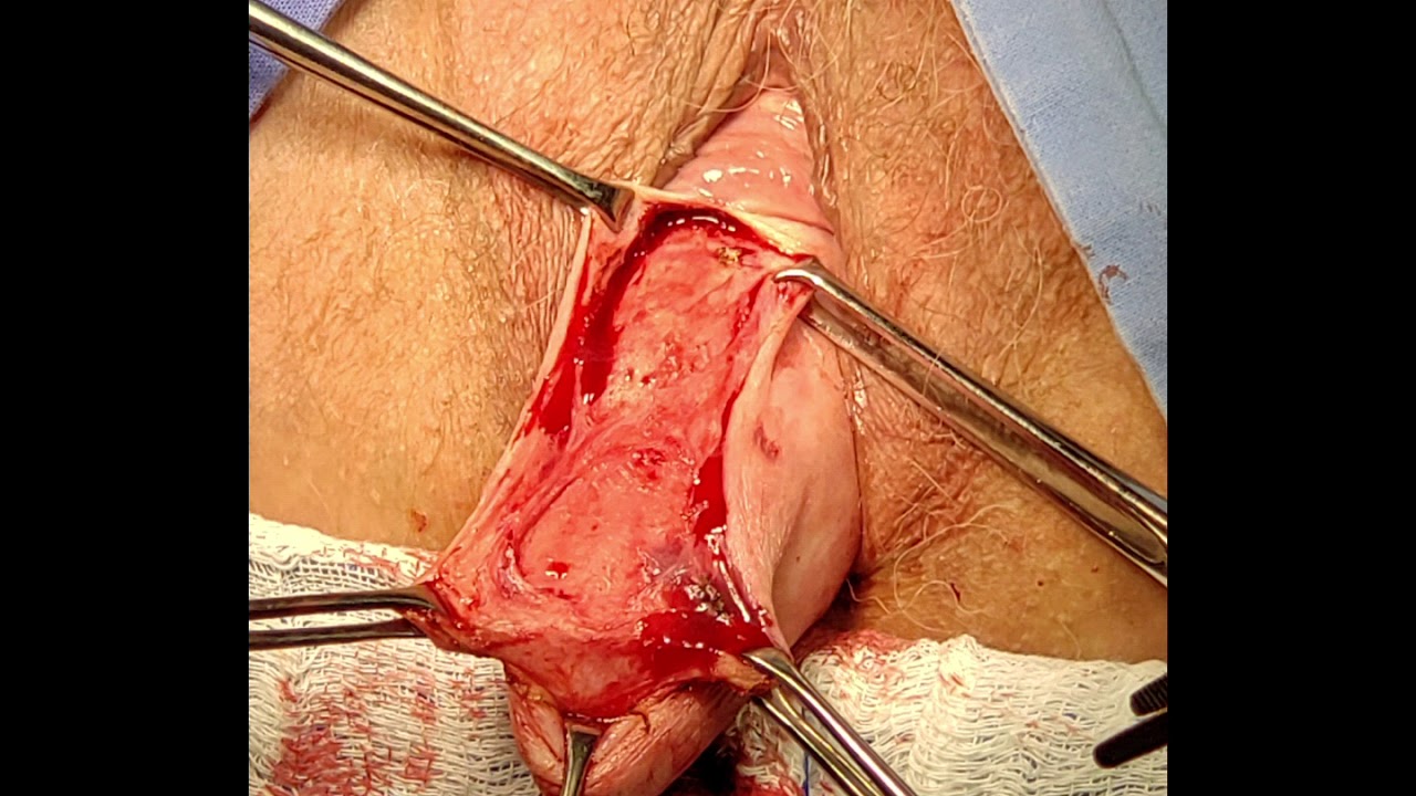 Heleodoro Correa Pinto-1