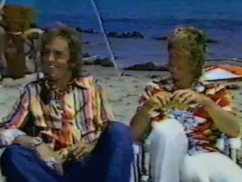 Jan & Dean Summer Scene 1978