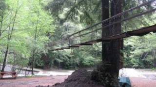 Billie Holiday Let's Call the Whole Thing Off