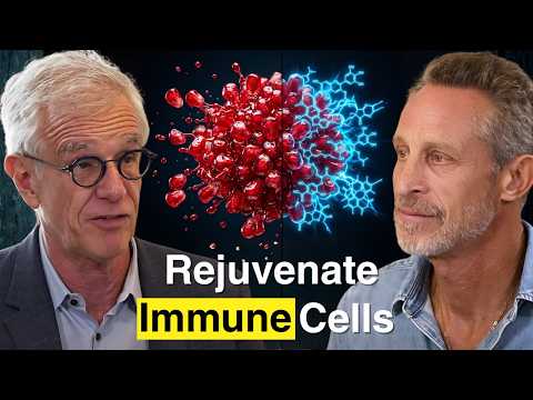 This Compound Reverses Immune Aging — Here's Why ...