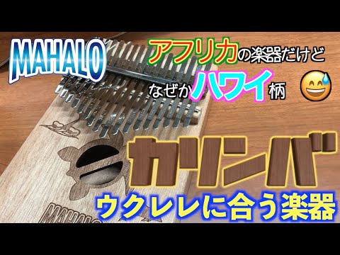 M-KALIMBA | キクタニミュージック