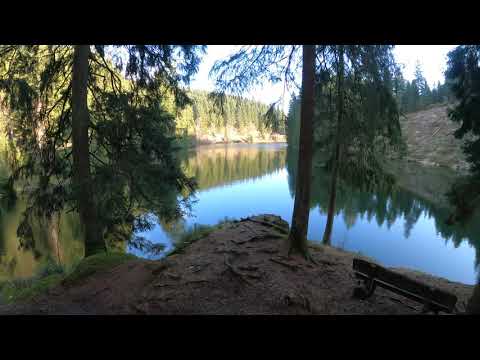 Stempelstelle 113 Grumbacher Teich - Harzer Wandernadel