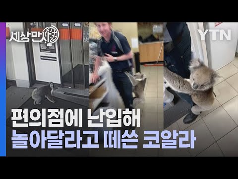 아이콘